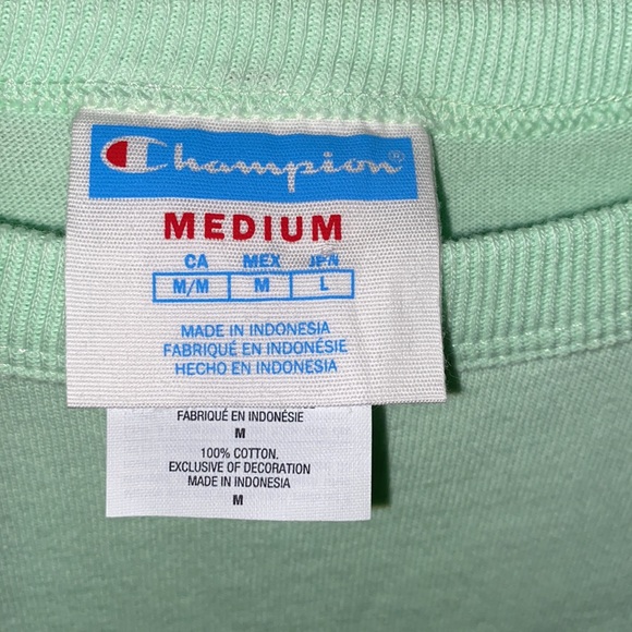 Champion Oversized Crop Top- Mint Green - Picture 3 of 4